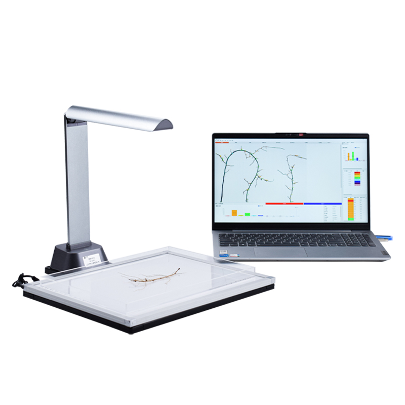 Root system scanner