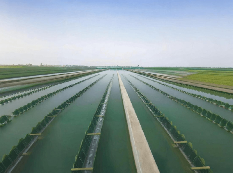 Water Quality Testing Plan for Waterworks