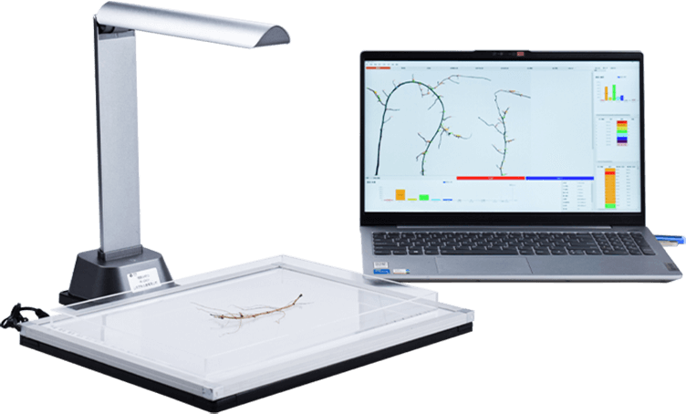 Root Analysis Instrument