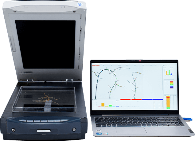 Root Scanner
