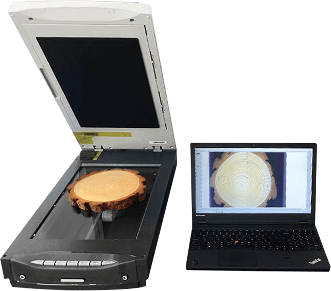 Tree Ring Analyzer