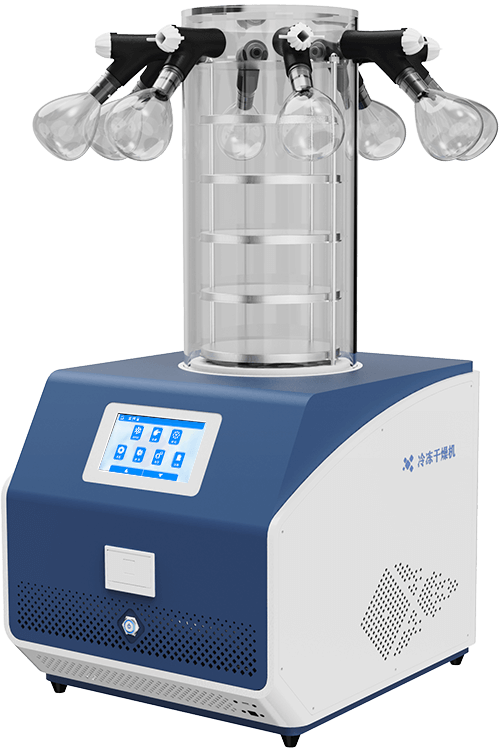 Vacuum Freeze Dryer