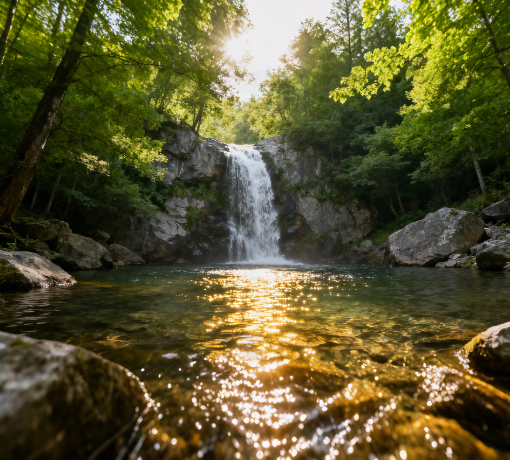 Which Multi-Channel Mycotoxin Detector Manufacturer is Reliable? And What is the Working Principle of Multi-Channel Mycotoxin Detectors?
